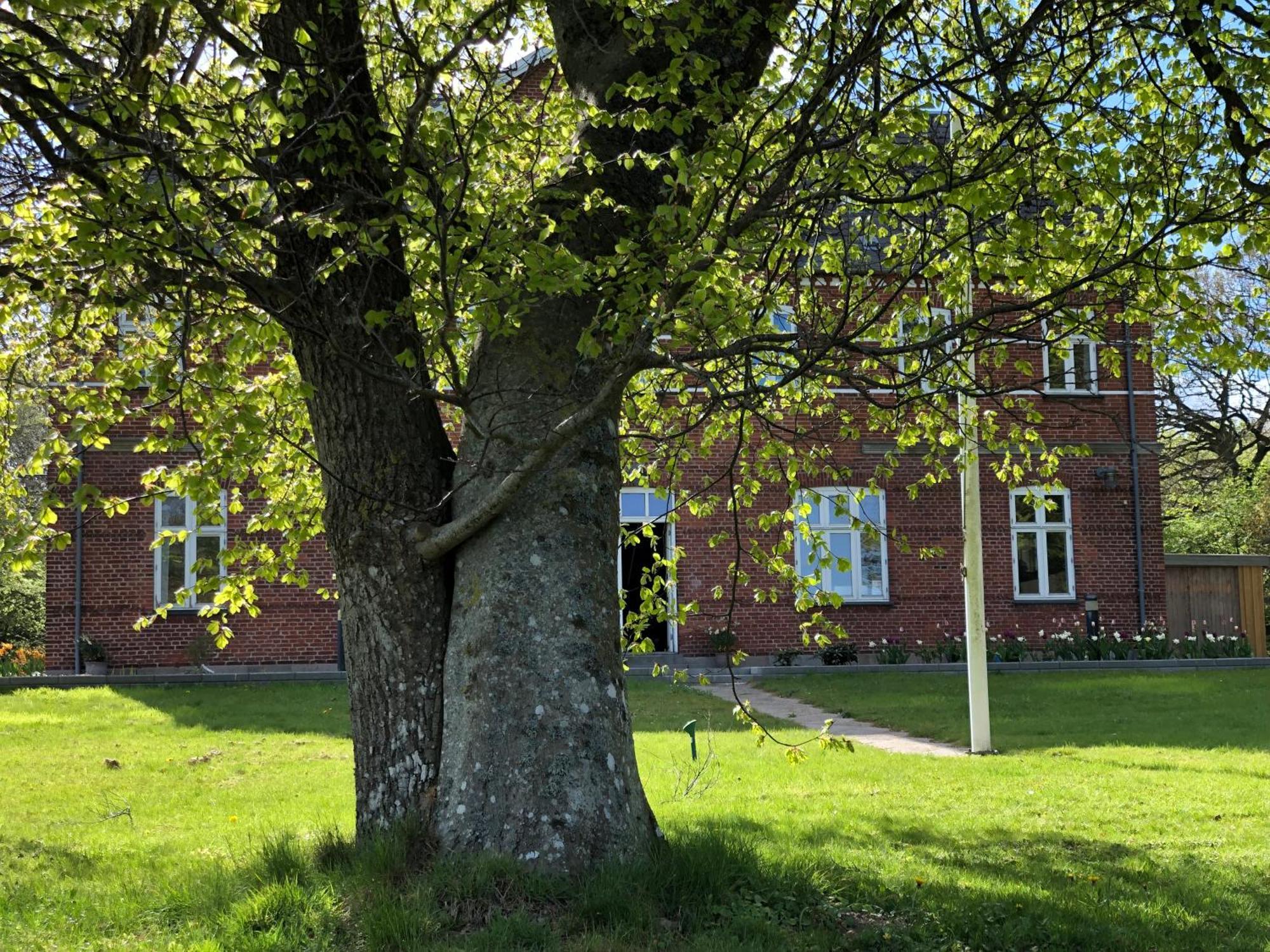 Hotel Rolykke Sæby Exterior foto